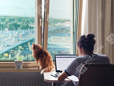 Организация рабочего места у окна: как совместить комфорт и эффективность